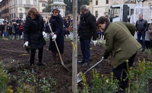 In piazza San Marco arrivati i nuovi olmi